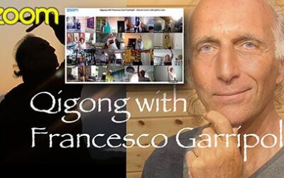 Zoom Qigong Class 17 May with Francesco