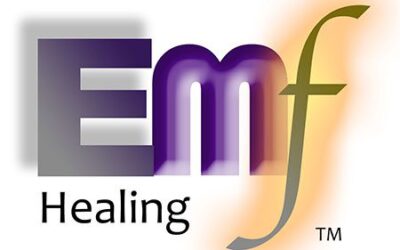 EMF Healing – Beyond Qigong 2-Day Warsaw, Poland Workshop – 6 & 7 June 2026 – Emotions, Minds, Fields