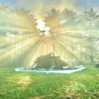 Winter Solstice 2025 – Qigong  & Meditation – Boulder, CO