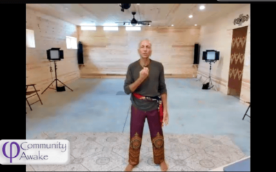 Qigong Zoom Class Recording – 1 August 2026 by Francesco